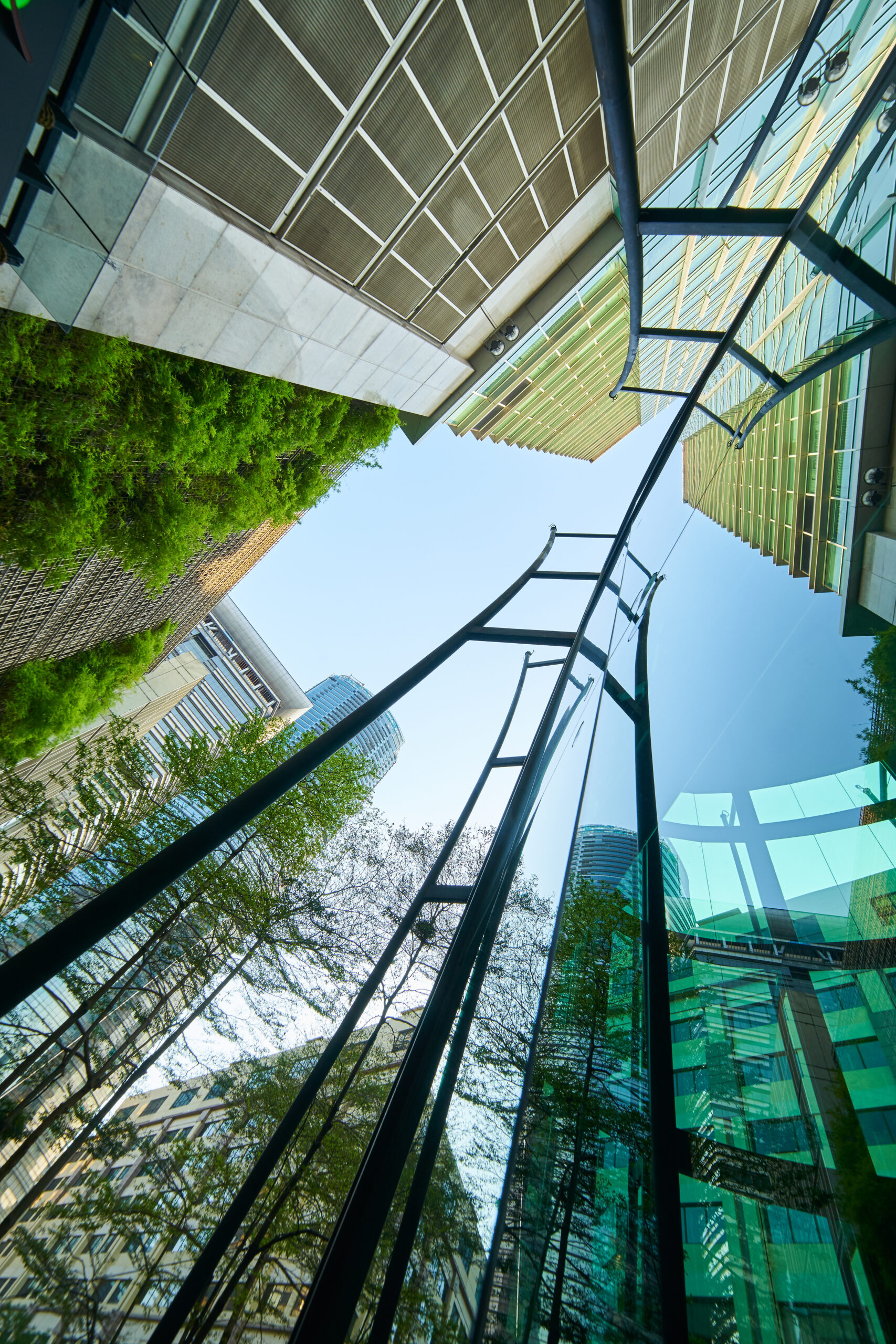 Low angle shot of modern glass buildings and green with clear sky background. Vertical format .